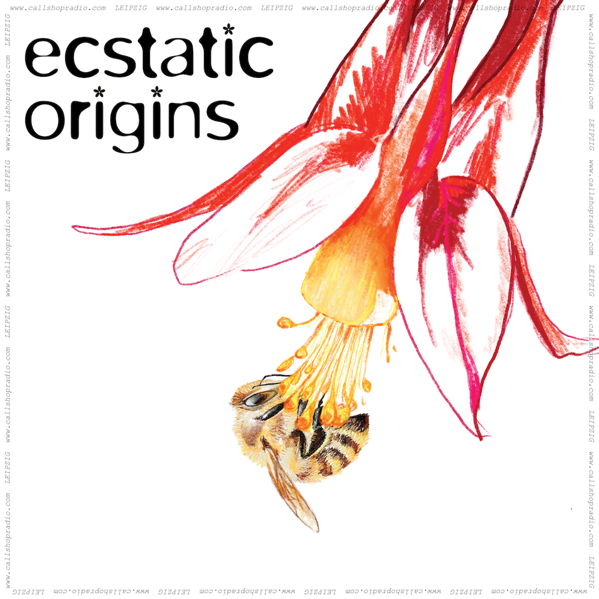 Ecstatic Origins