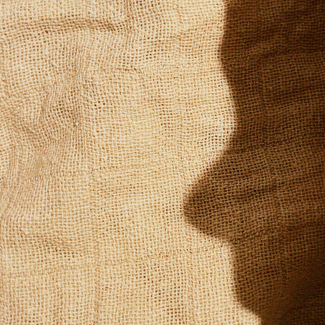 Mount Joy w/ Qnete 05.03.26