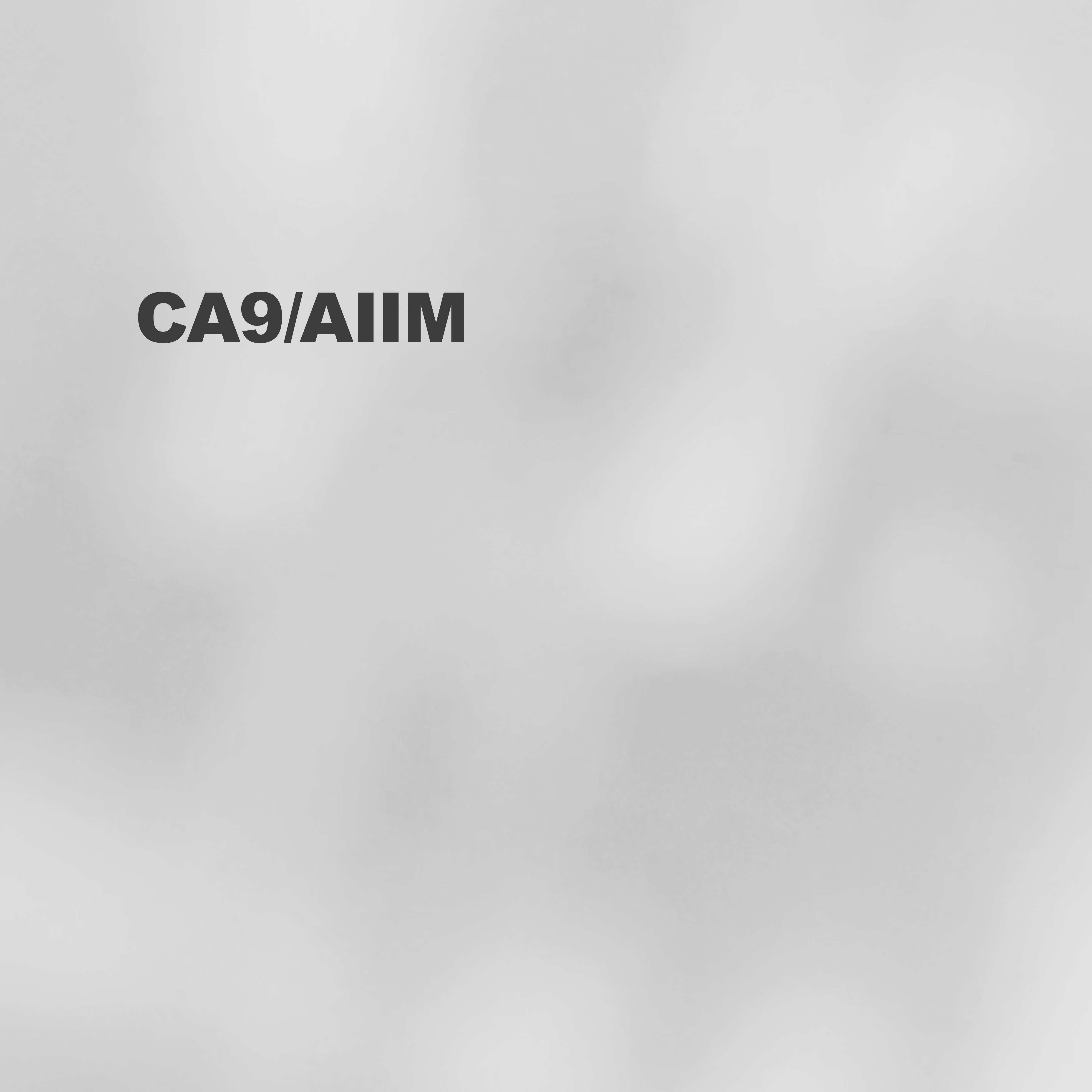 Electronic Underground w/ CA9 & AIIM 27.02.26