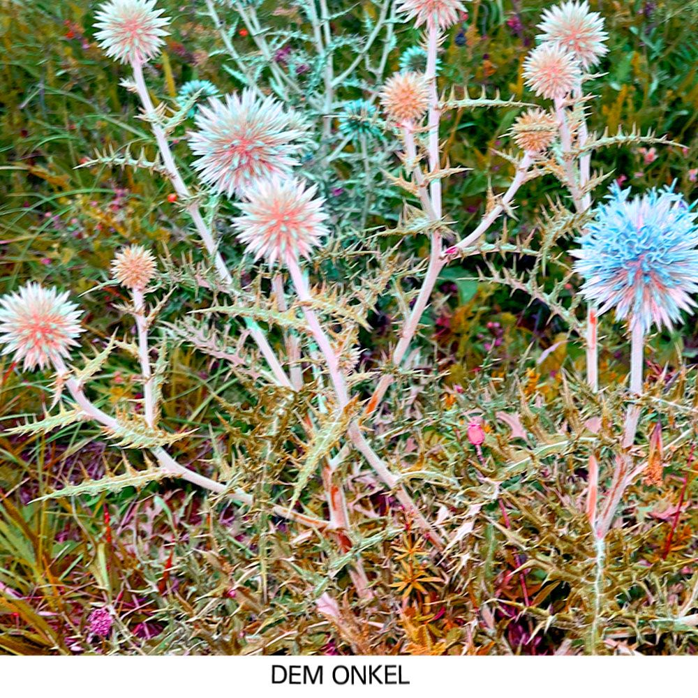 Dem Onkel w/ yet unseen 09.06.26