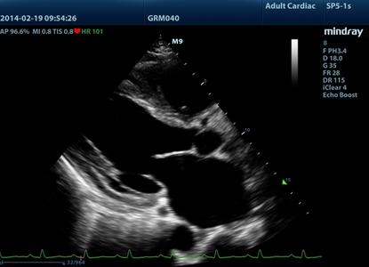 Clinical Images-0-image