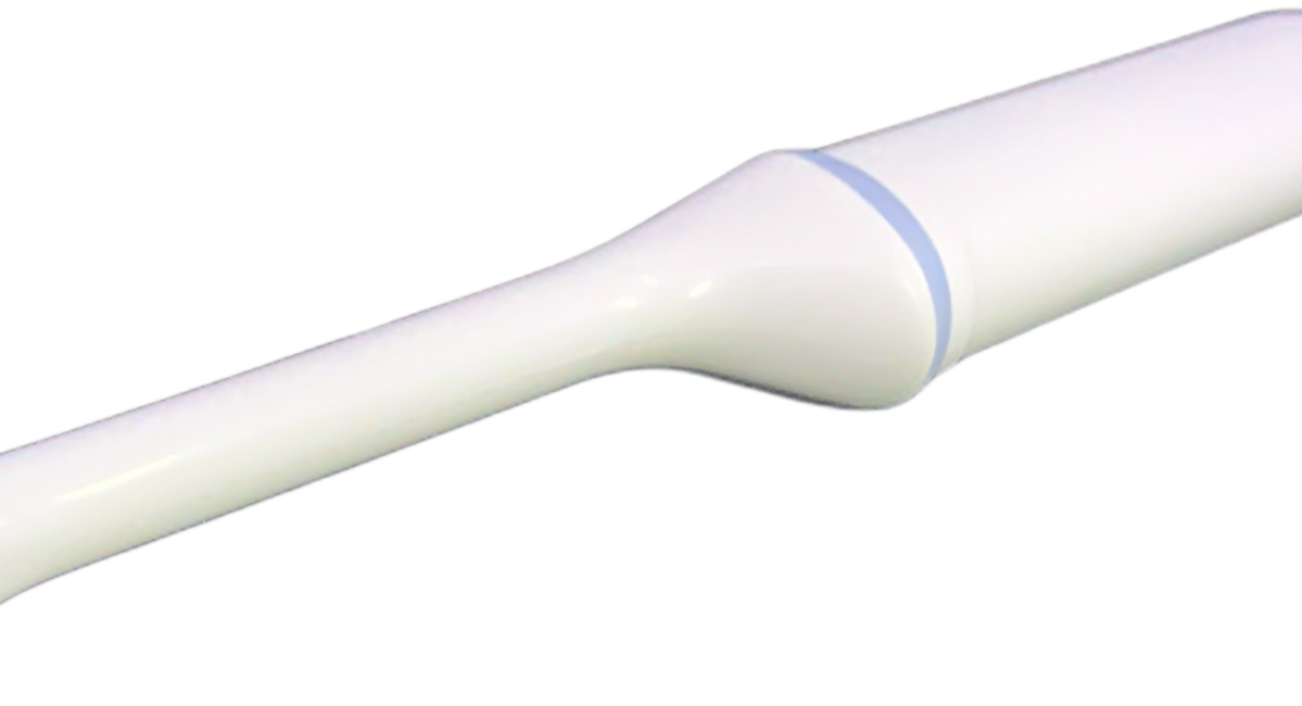 Lysis | GE Healthcare | IC9-RS Transducer