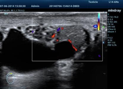 Clinical Images-4-image