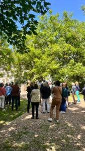 Visite guidée du Château + parc & jardins