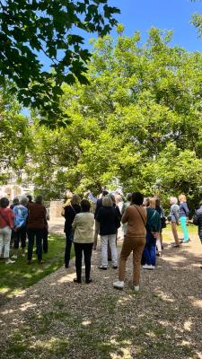 Visite guidée du Château + parc & jardins