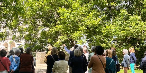 Visite guidée du Château + parc & jardins