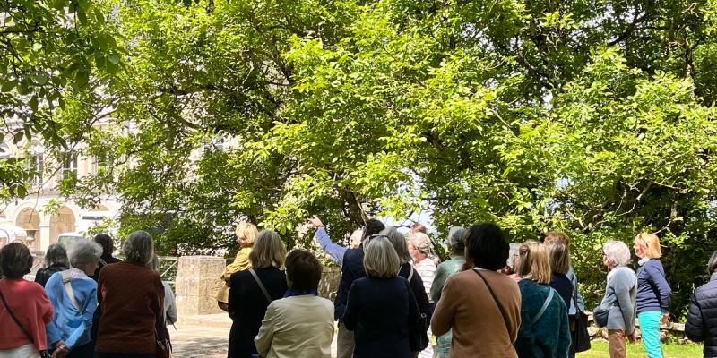 Visite guidée du Château + parc & jardins