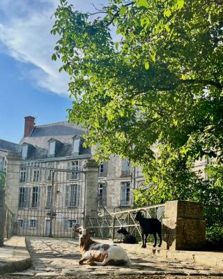 Visite guidée du Château + parc & jardins