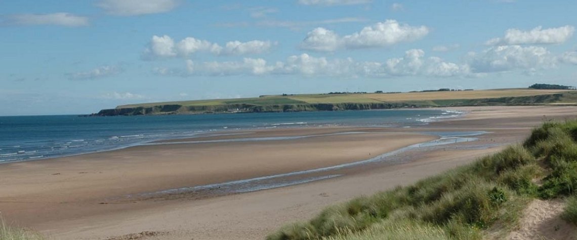 Page header image