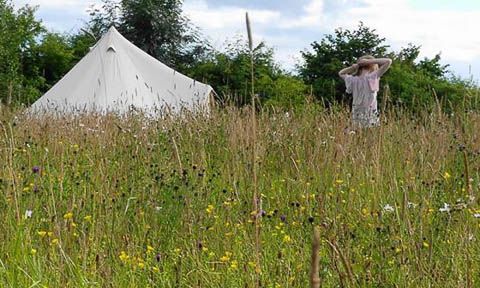 Bell Tents