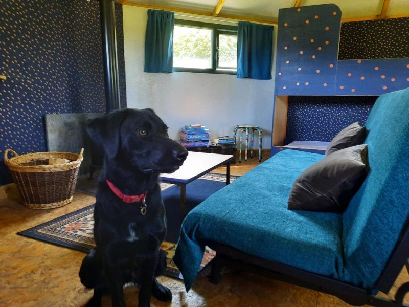 Sparrowhawk Glamping Pod at Greenhillock
