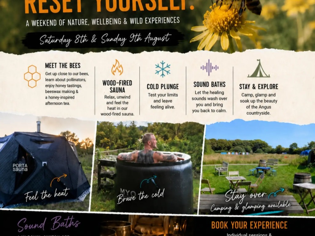 Wellbeing Reset