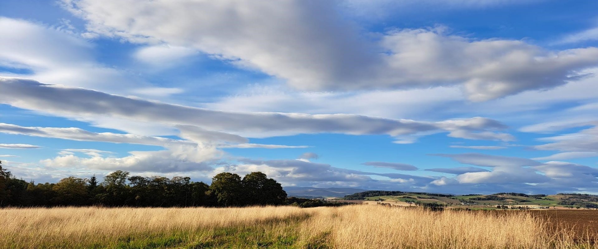 Page header image