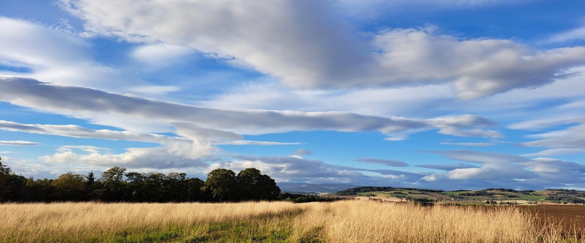 Page header image