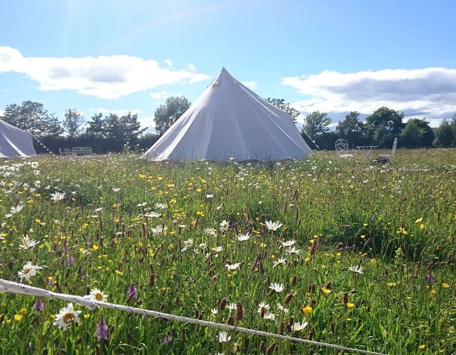 Bell Tents