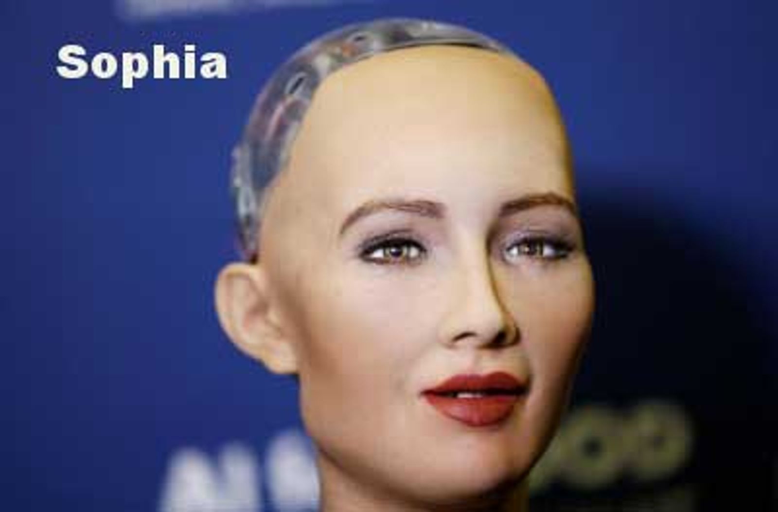 robot