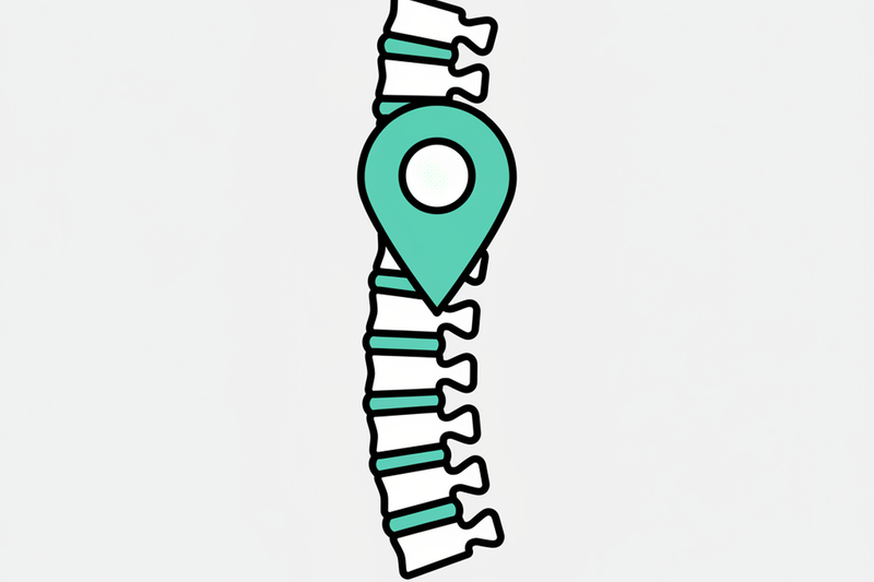 Local SEO For Chiropractors That Want More New Patients