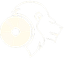 Dinga Stream