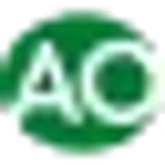 A.O. Smith logo