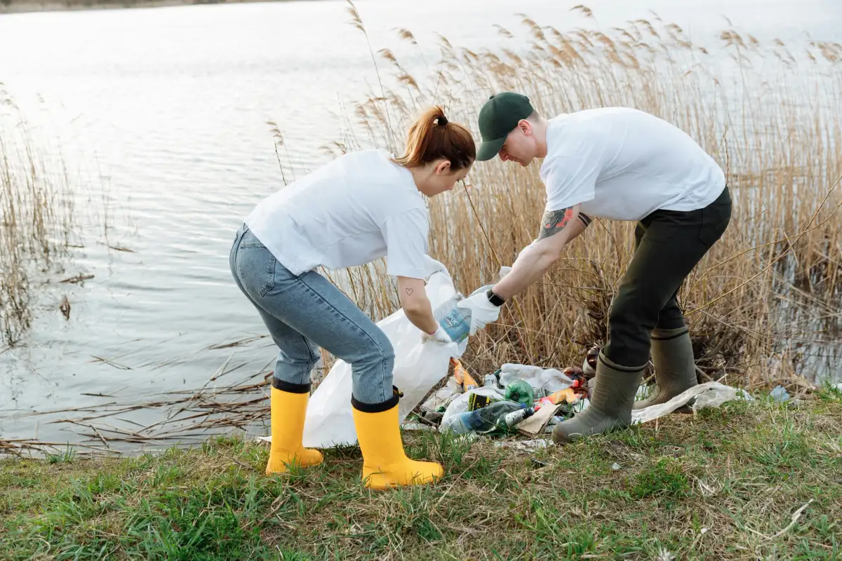 ECOLOGY OF THE RIVER