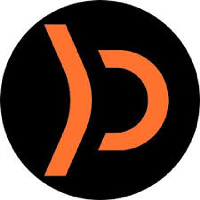 Plerion Logo