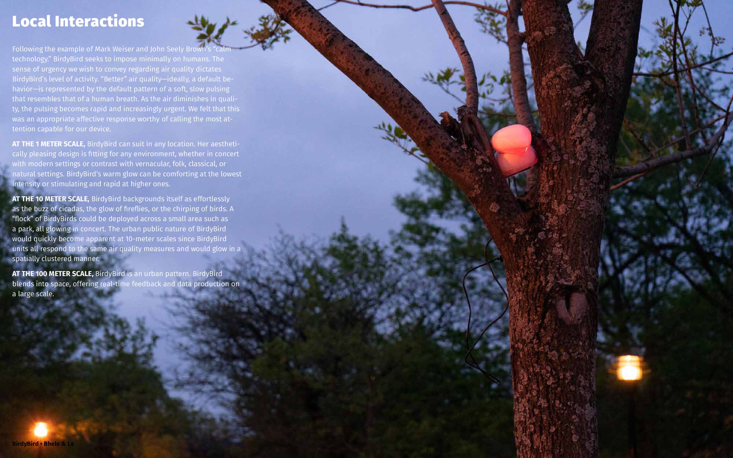 BirdyBird, a warm red glow emerging from a tree at sunset. BirdyBird, a warm red glow emerging from a tree at sunset.