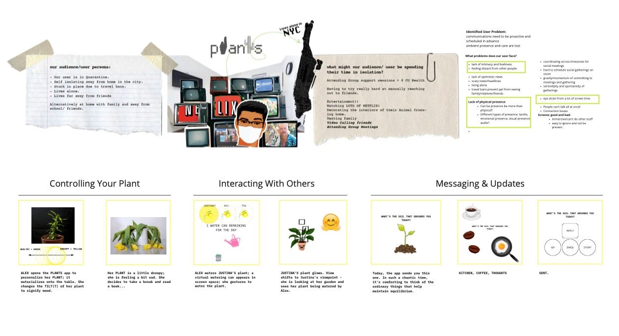 Storyboard for Plants AR app. Storyboard for Plants AR app.