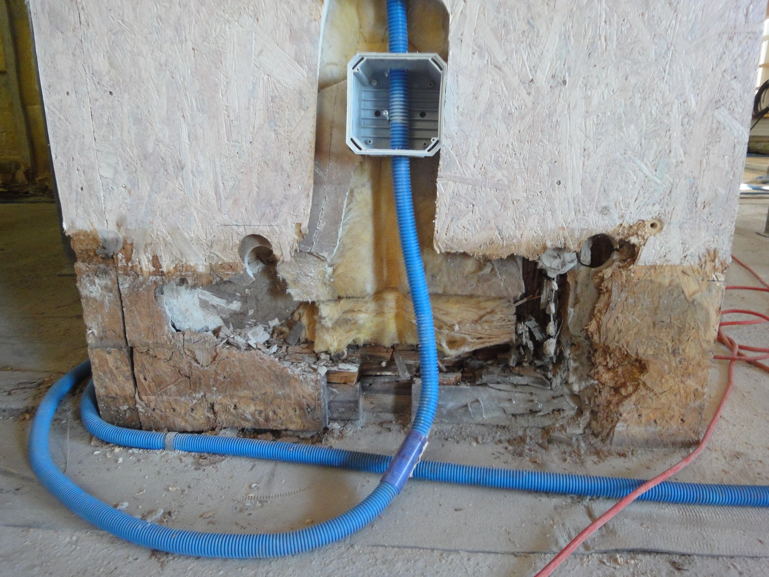 Zersetzung durch Braunfäule