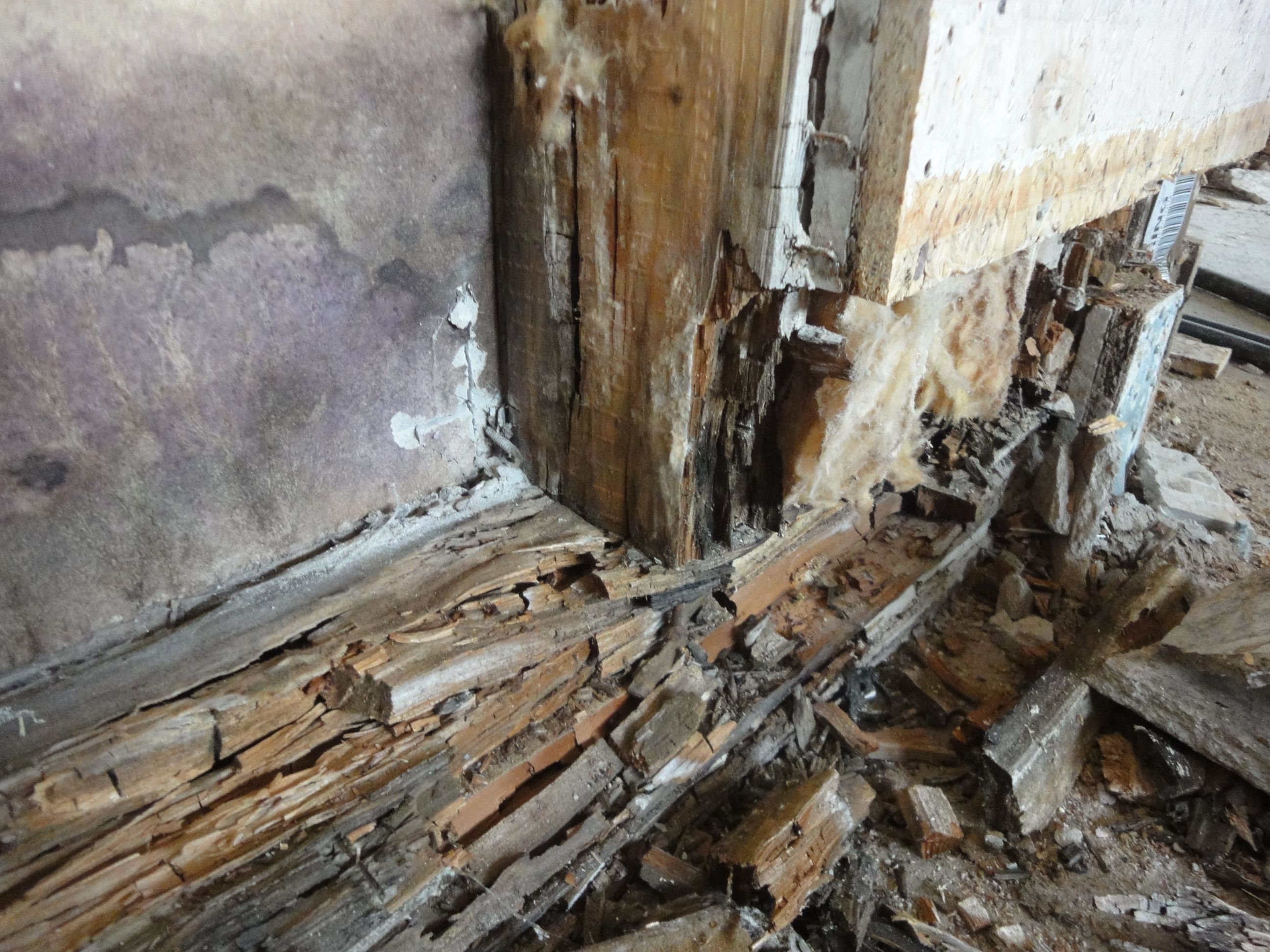 Wasserschaden Holzbau