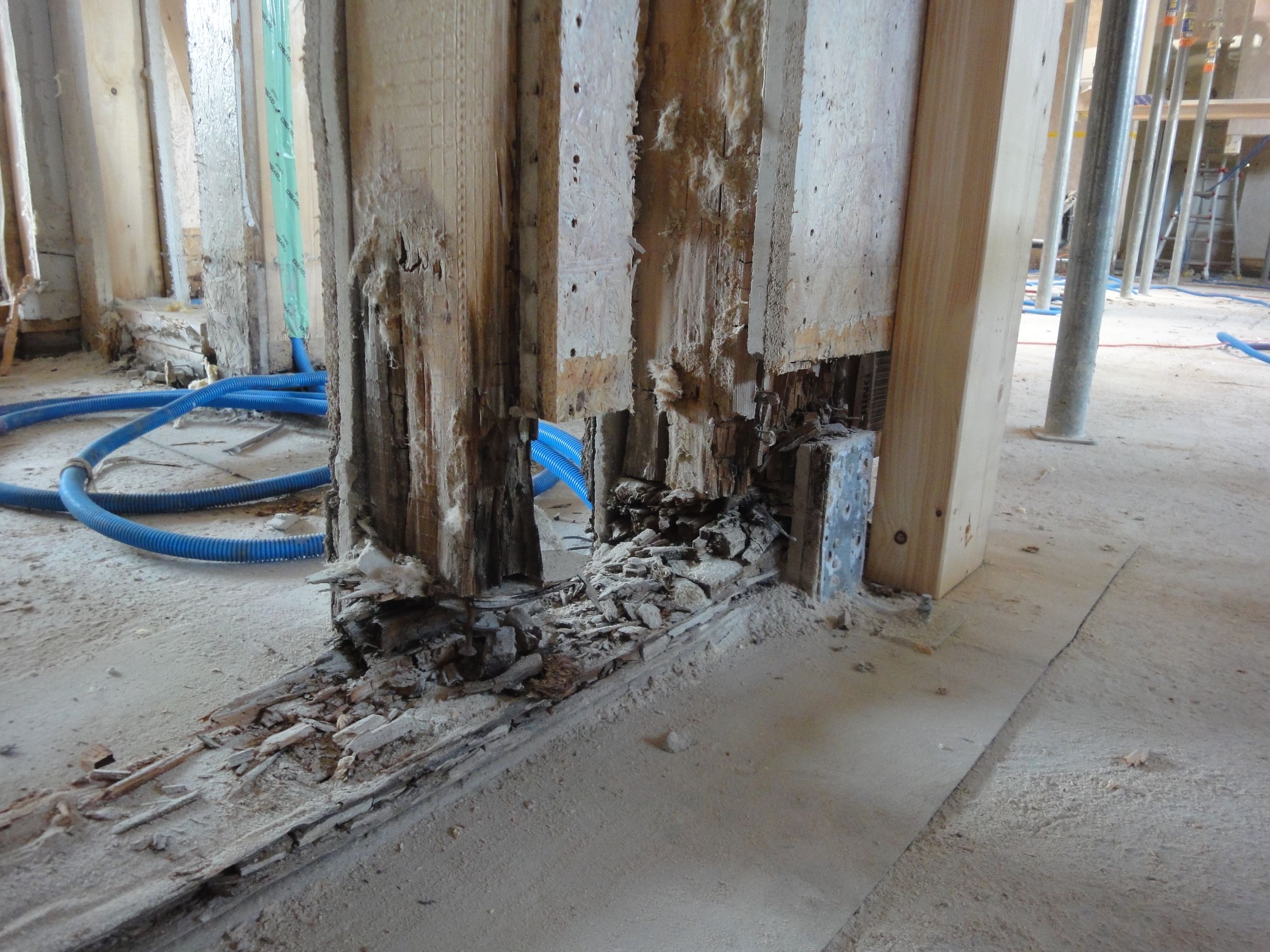 Braunfäule am Schwellenholz und Rippe