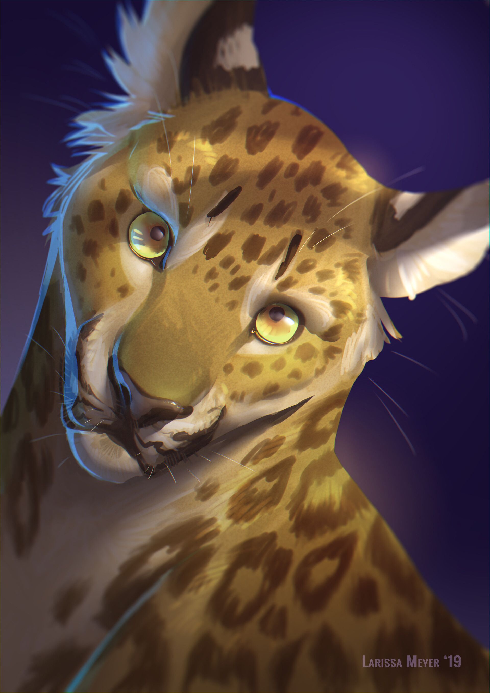 Leopard Portrait