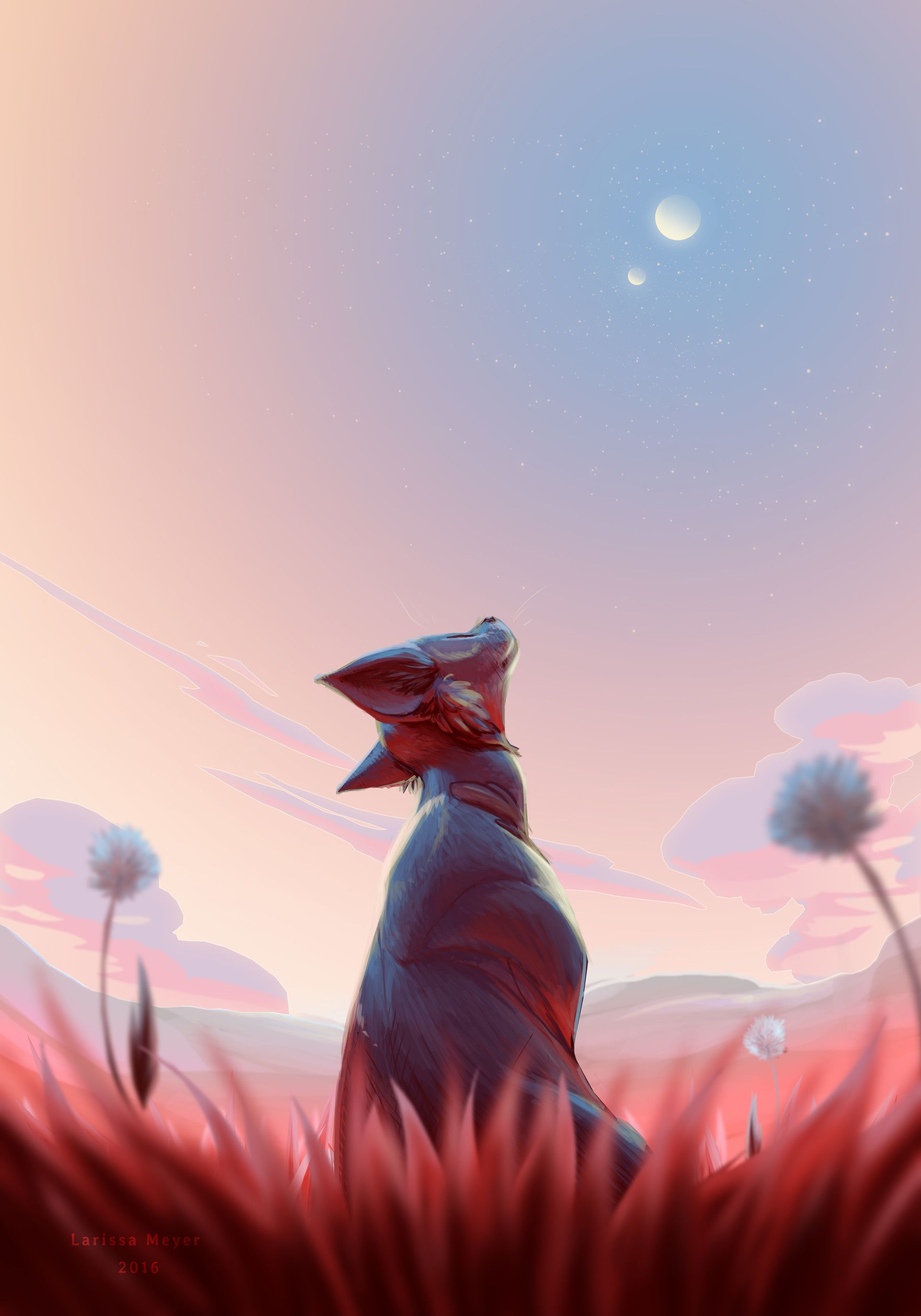 Fox