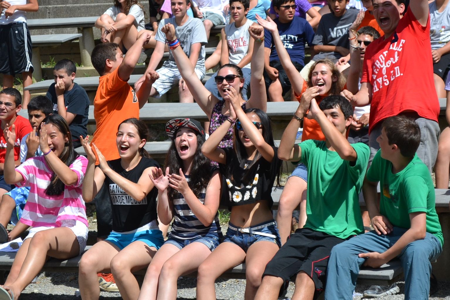 Camp Director Survey