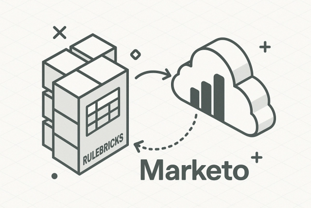 Marketo Rulebricks – Rulebricks