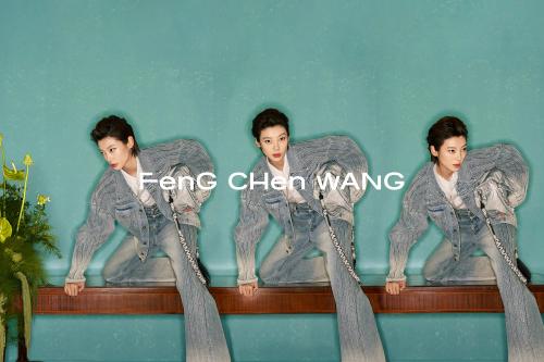 Feng Chen Wang thumbnail 9