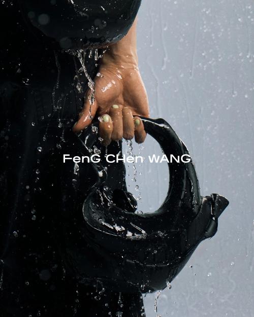 Feng Chen Wang thumbnail 5
