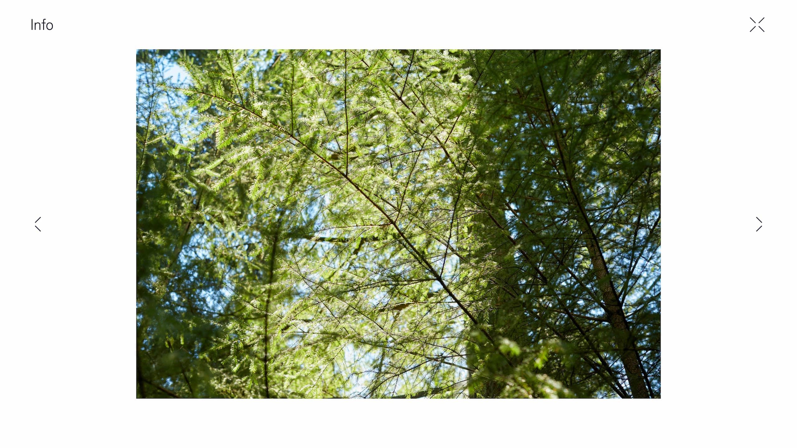 The lightbox functionality on a single project page from Richard Moran's website.