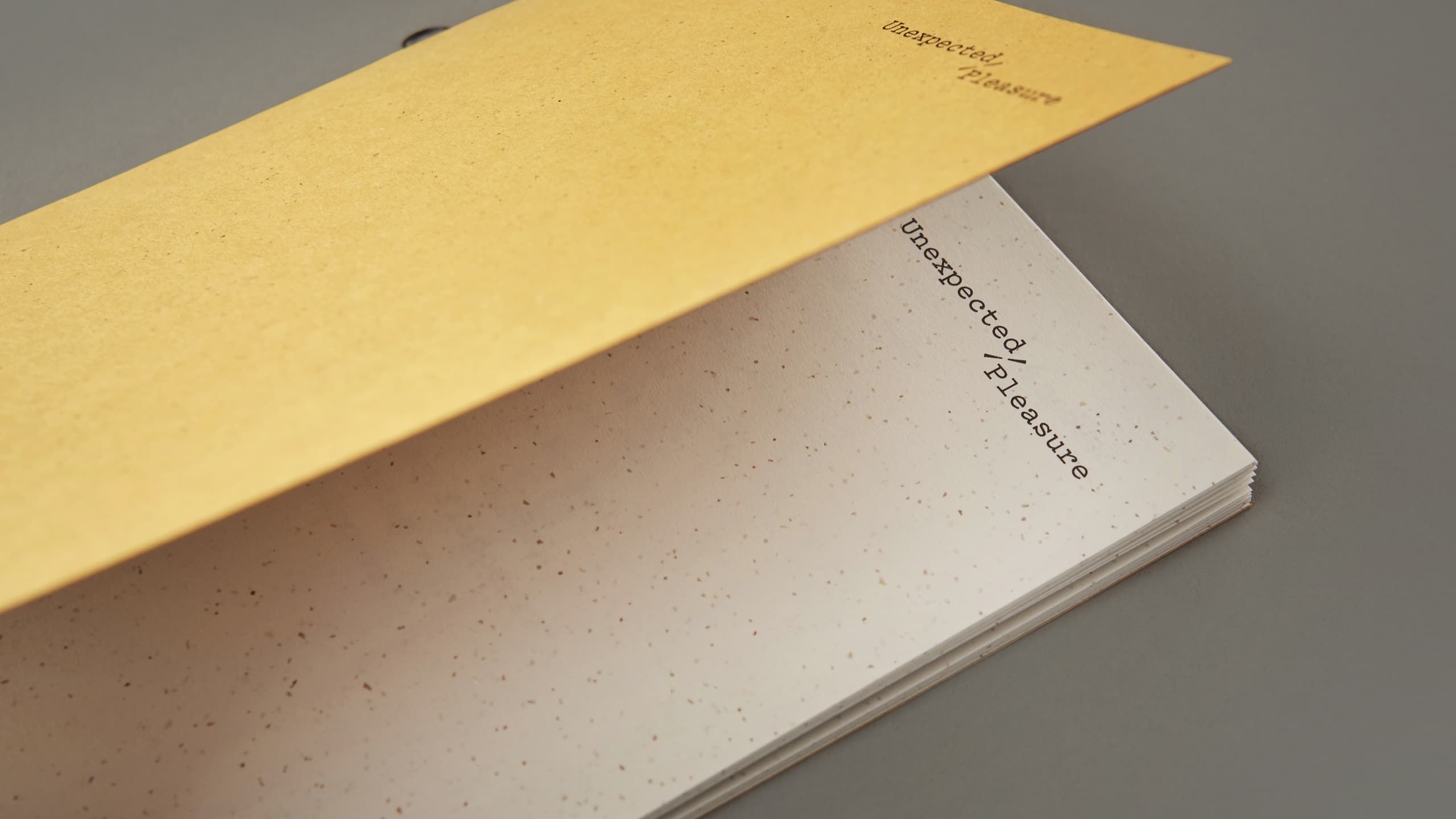 The inside front cover of Unexpected Pleasure.