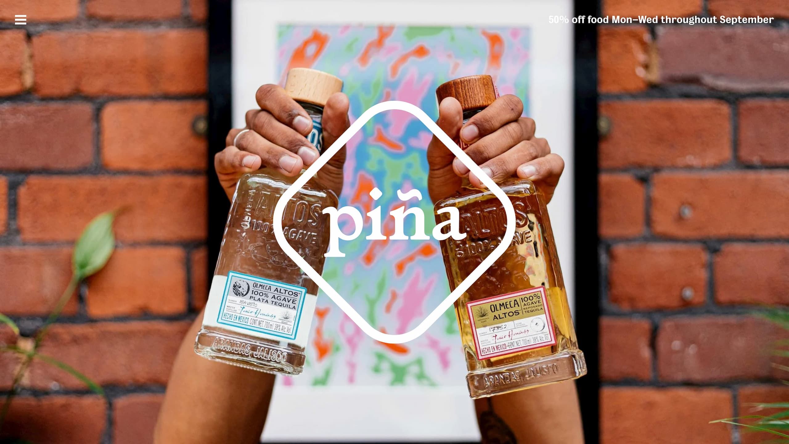 The homepage of piña's website.