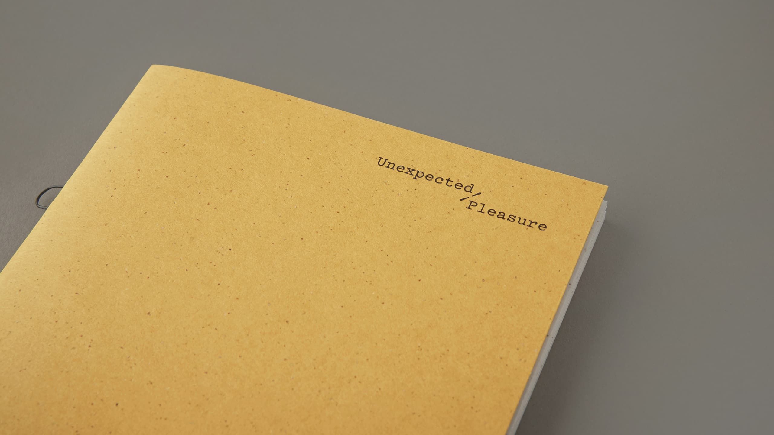 The front cover of Unexpected Pleasure.