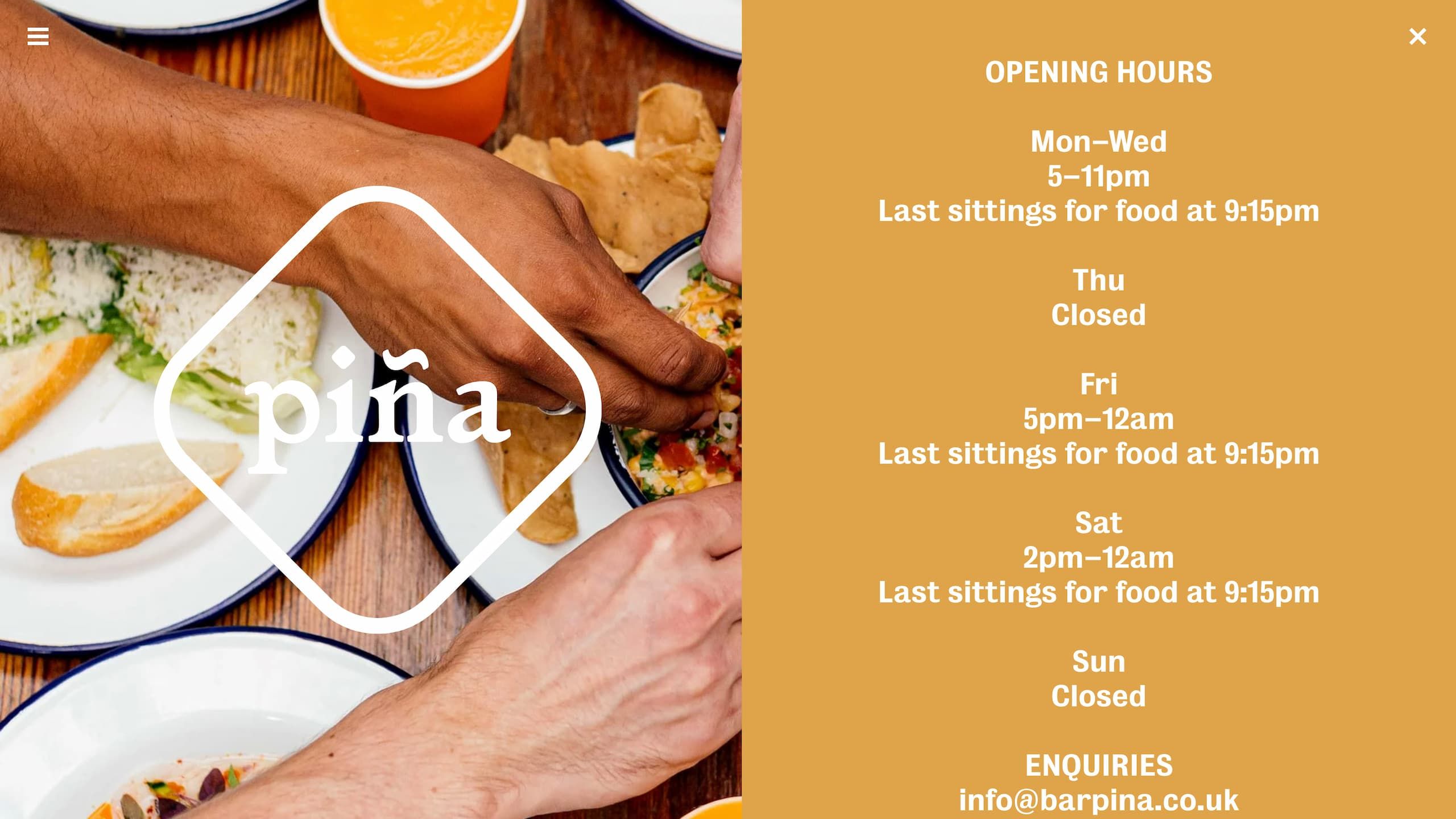 The information overlay from piña's website.