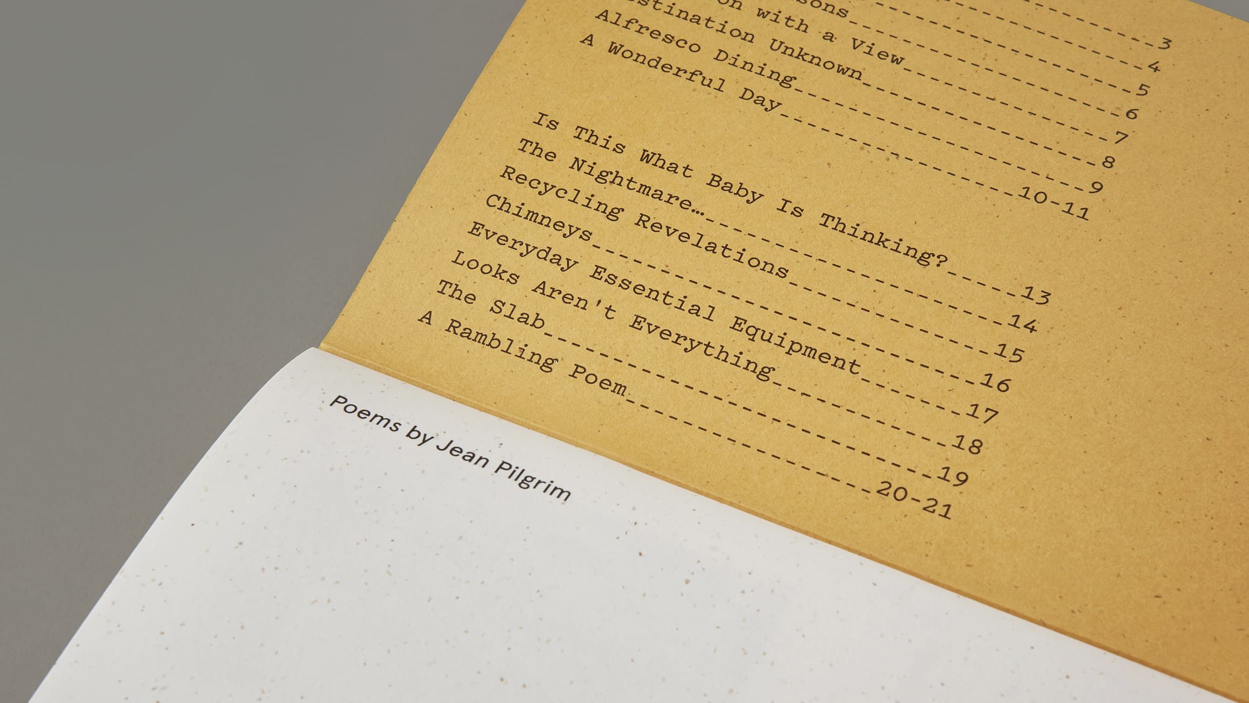 The contents page of Unexpected Pleasure.