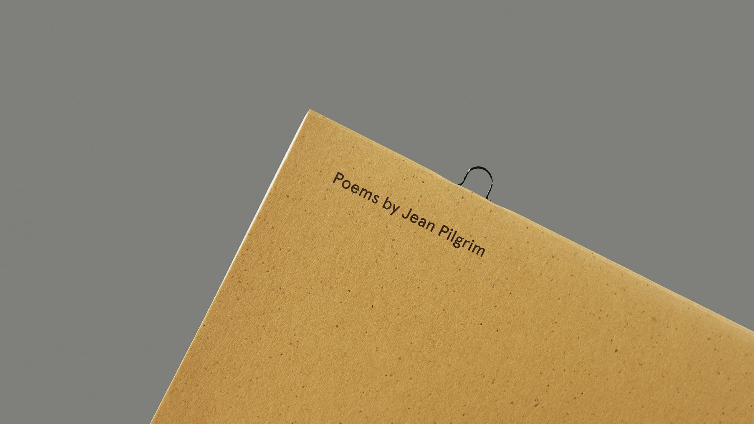 One of Unexpected Pleasure's loop stitches.