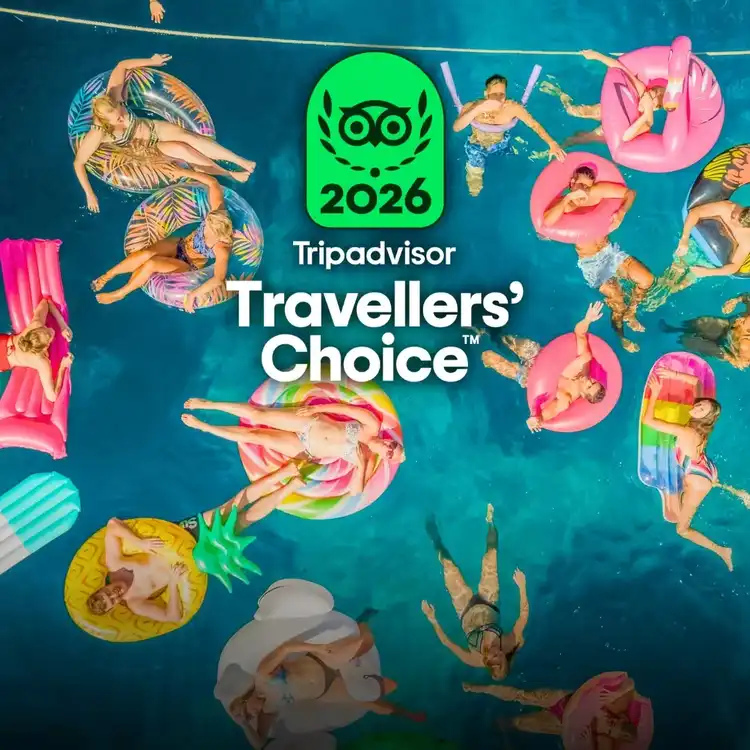 MedSailors Tripadvisor Travellers' Choice Awards 2026 winner image showing off the logo and a group of happy travellers floating in a Mediterranean bay while on their Greece or Croatia island hopping tour.