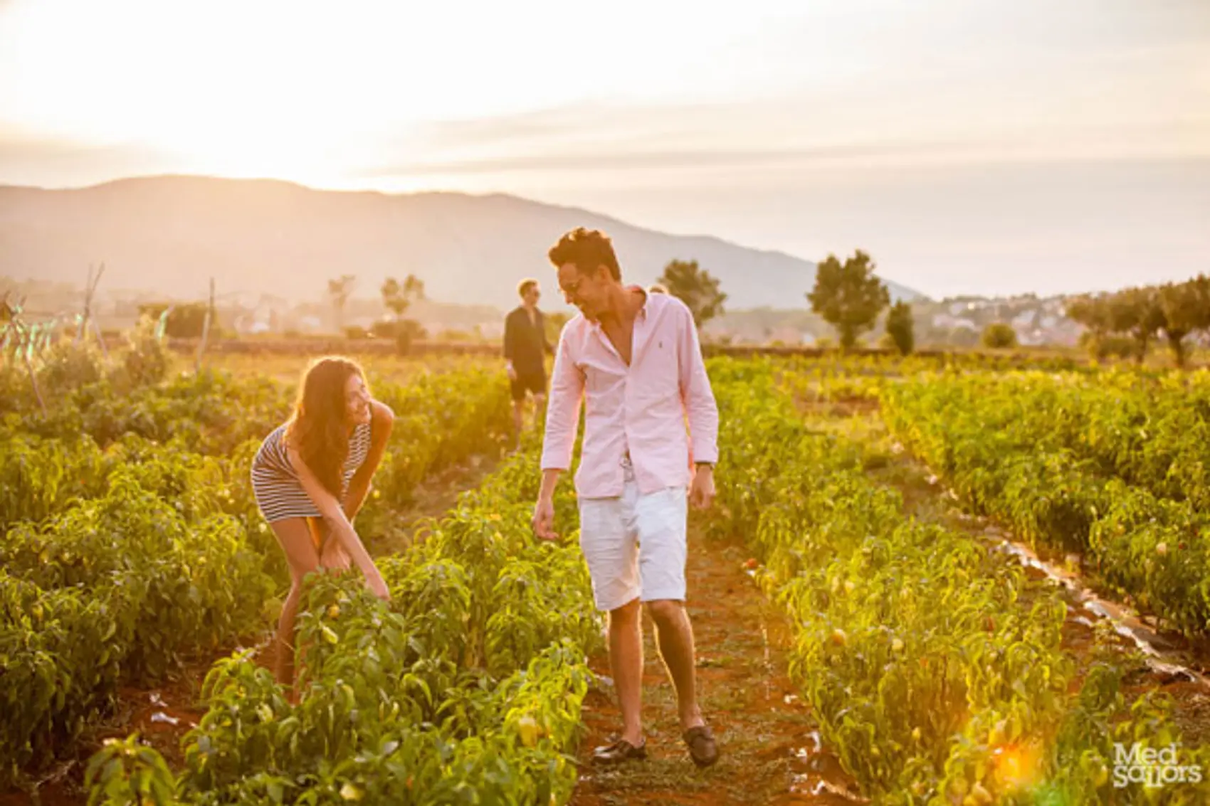 Eat fresh in Greece - Dishes to keep you satisfied