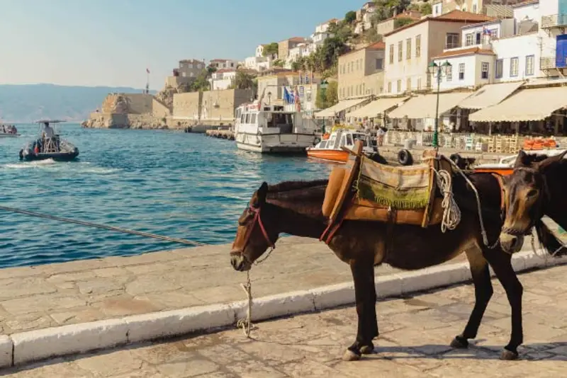 Photo of a donkey in Hydra Greece Saronic Island port.