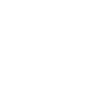 Wheel icon