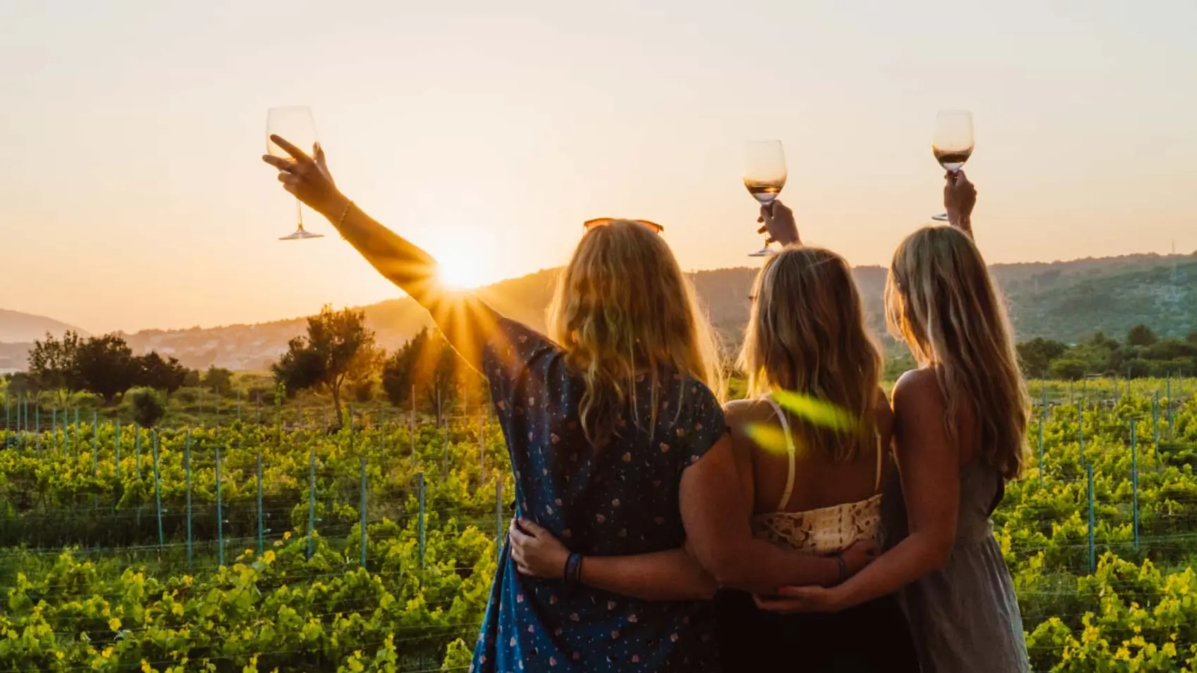 Group wine tasting at sunset in Croatia