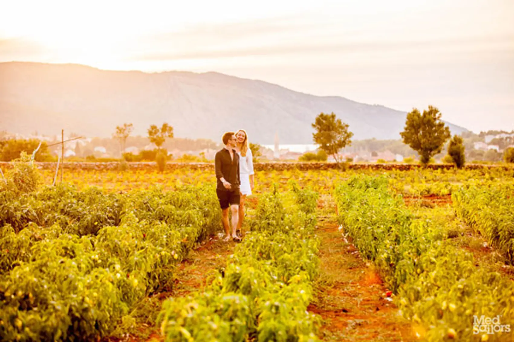 Sailing in Croatia - Visit vineyards