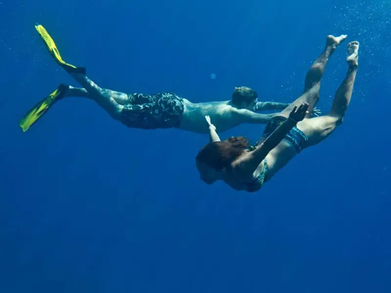 People snorkelling.